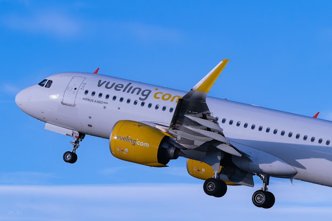 Vueling