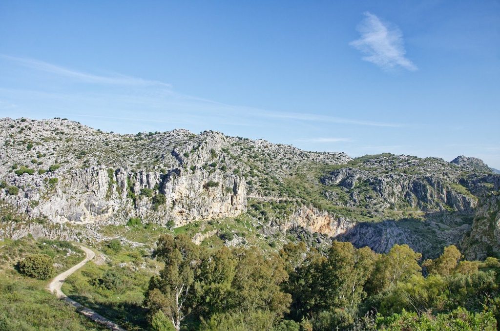 Font Rotja