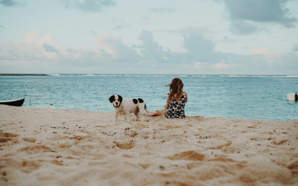 Pet-Friendly Travel